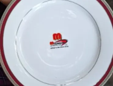 Microsol
